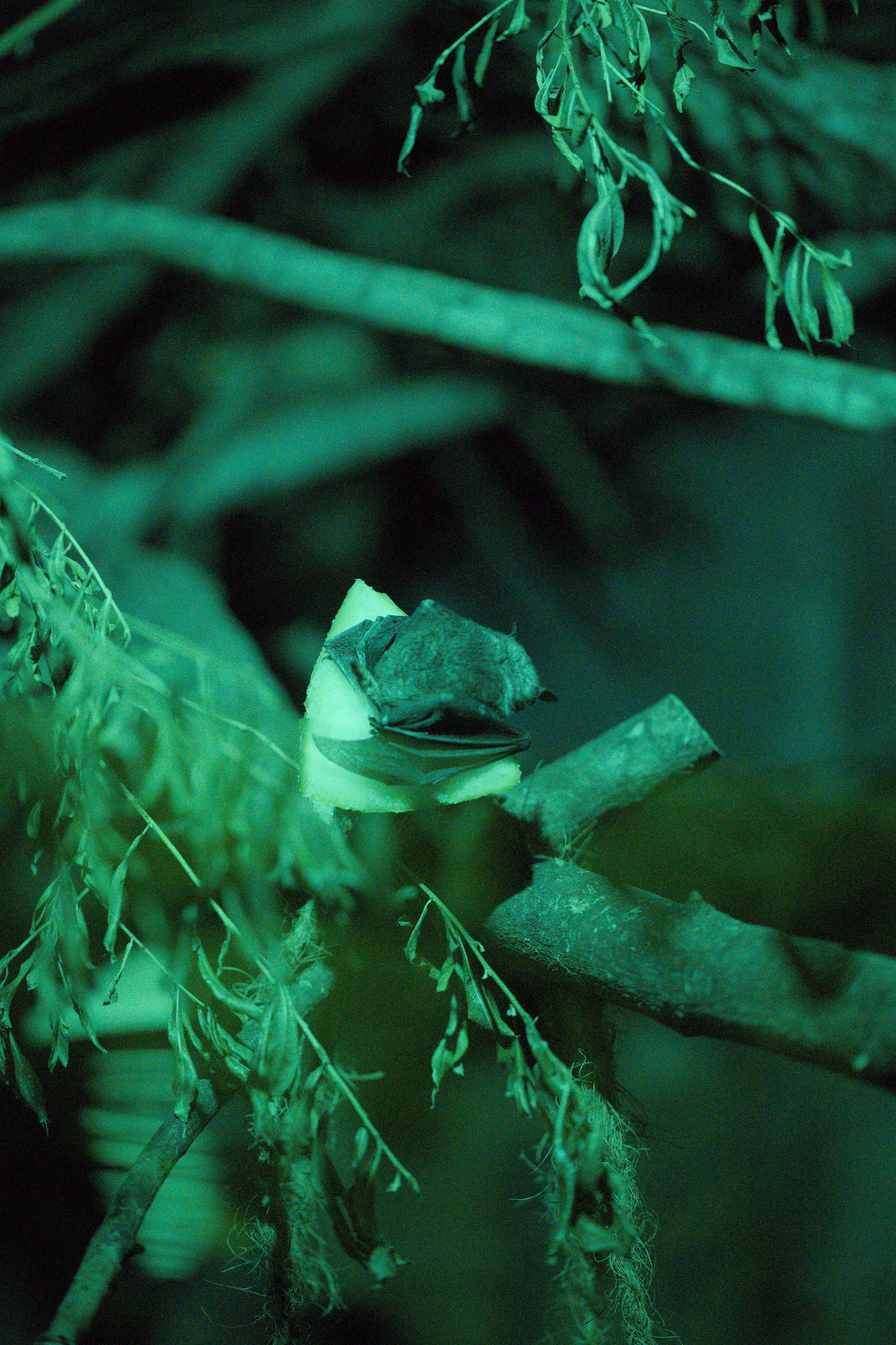 2025/10/12 - zoo/DSC_0281.jpg